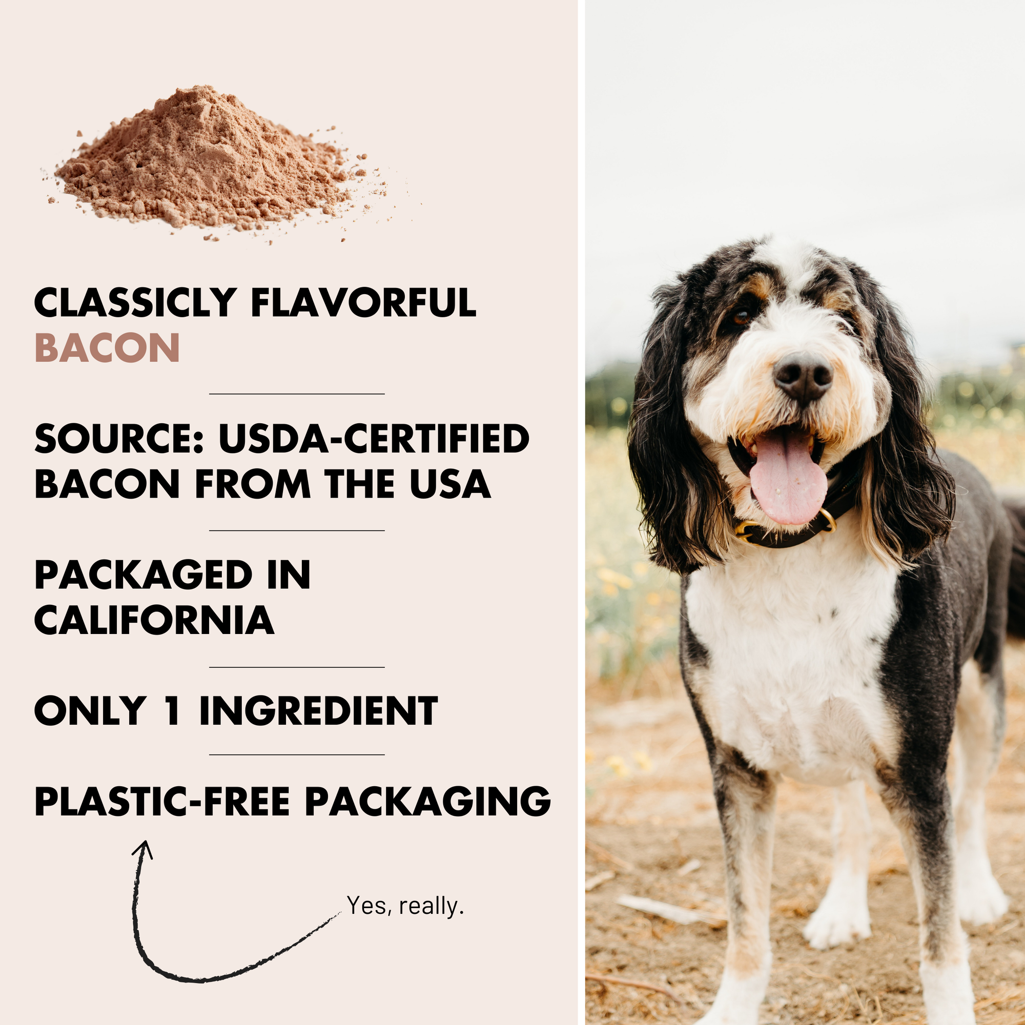 Bacon Topper | Single Ingredient | 8oz