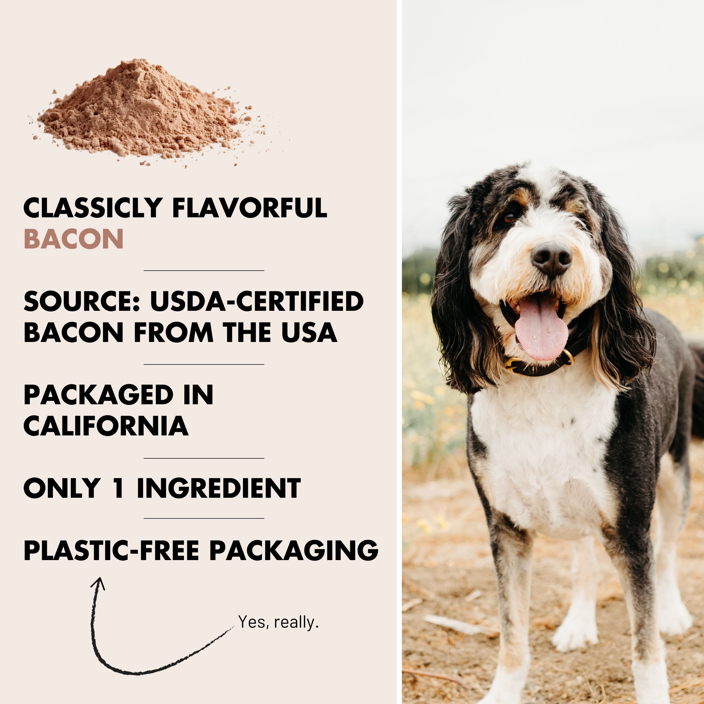 Bacon Topper | Single Ingredient | 8oz