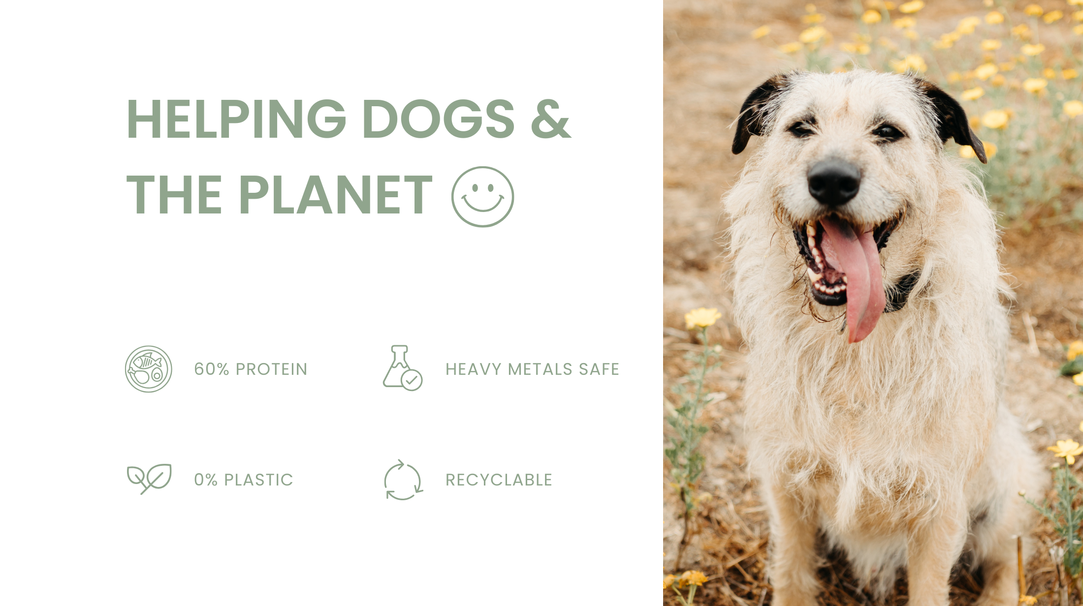 Beef Liver Topper | Single Ingredient | 8oz