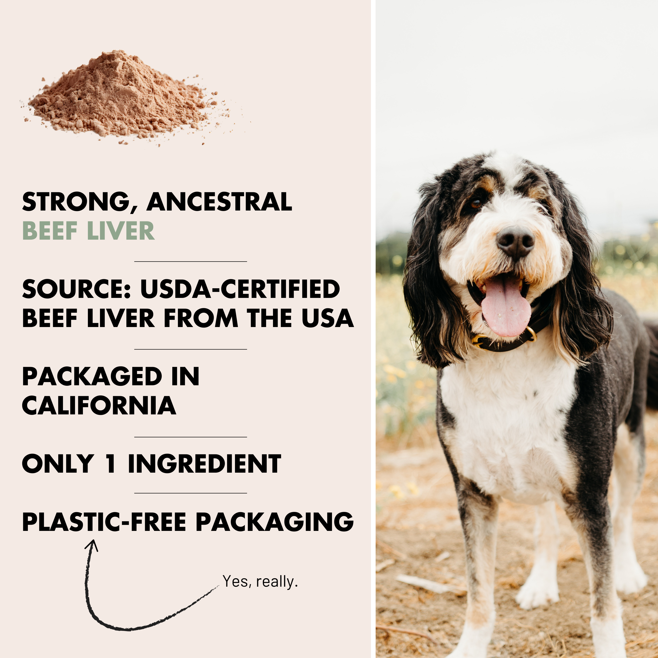 Beef Liver Topper | Single Ingredient | 8oz