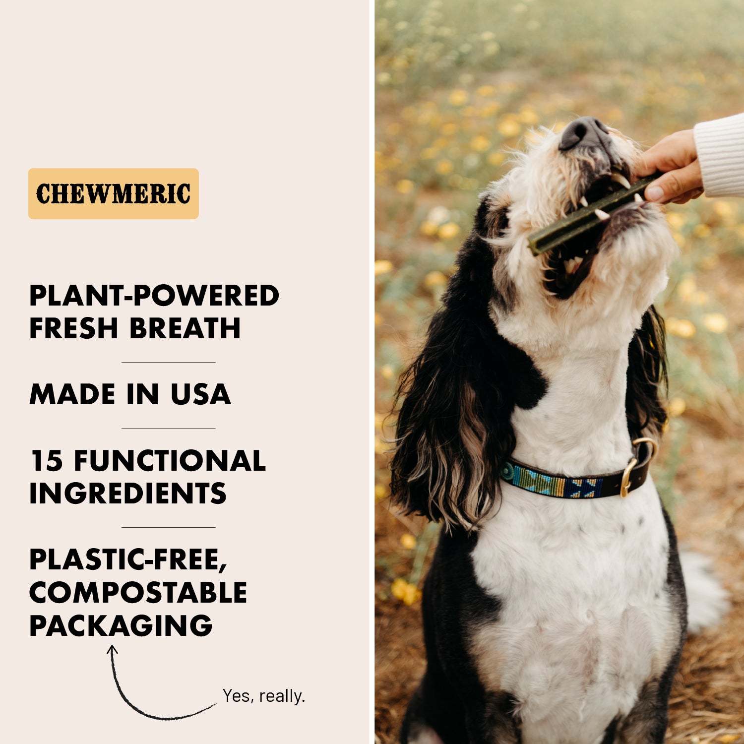 Chewmeric 6" Dental Stick