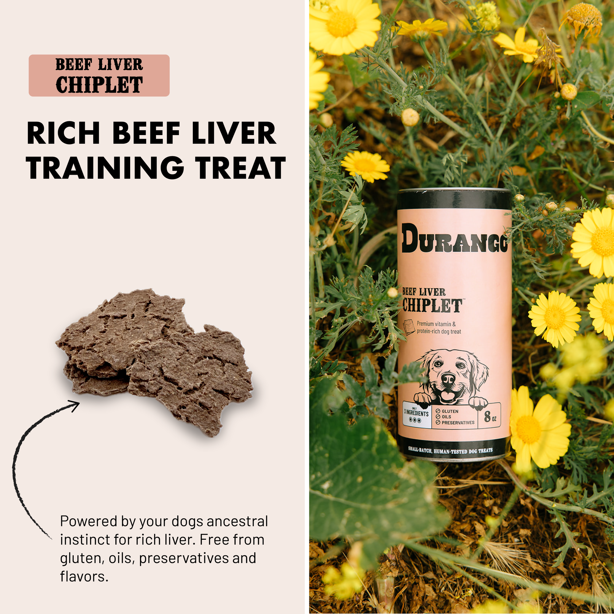 Beef Liver Chiplet